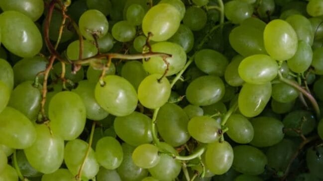 conservar uvas