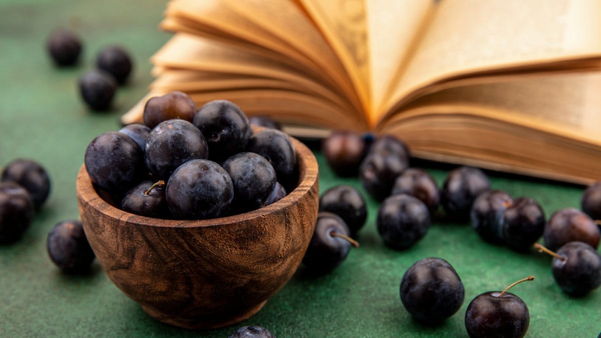Jabuticaba (Foto_ stockking_Magnific)