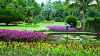 Jardim Botânico Plantarum (Foto_ Divulgação_Jardim Botânico Plantarum) (1)