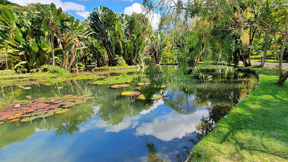 Jardim Botânico do Rio de Janeiro (Foto_ Tania Freire_Wikimedia Commons)