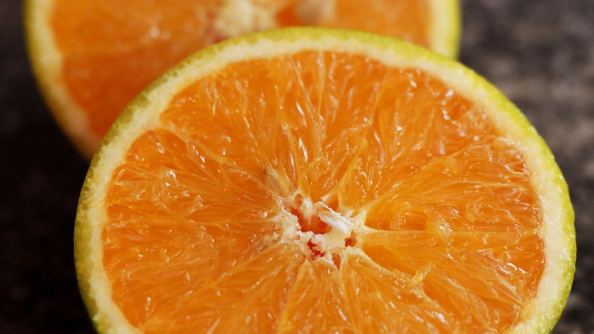 Laranja (Foto_ Nanda Mends_Pexels)