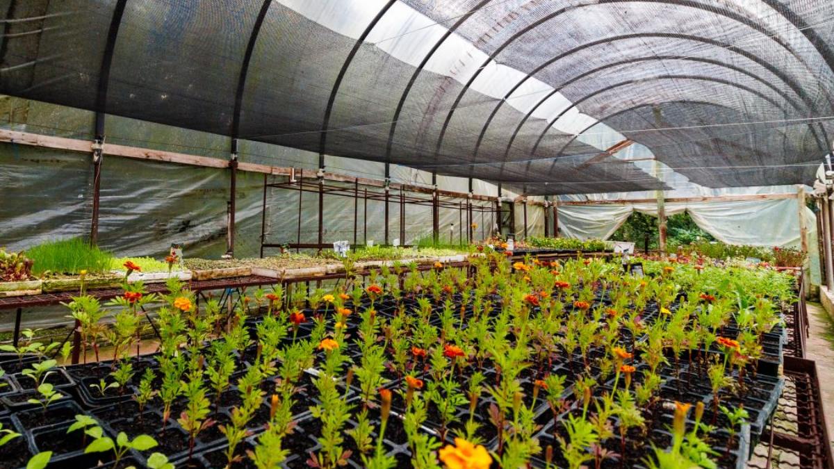 Pousada Rural Sesc Lages em Santa Catarina (Foto_ Divulgação_Pousada Rural Sesc Lages)