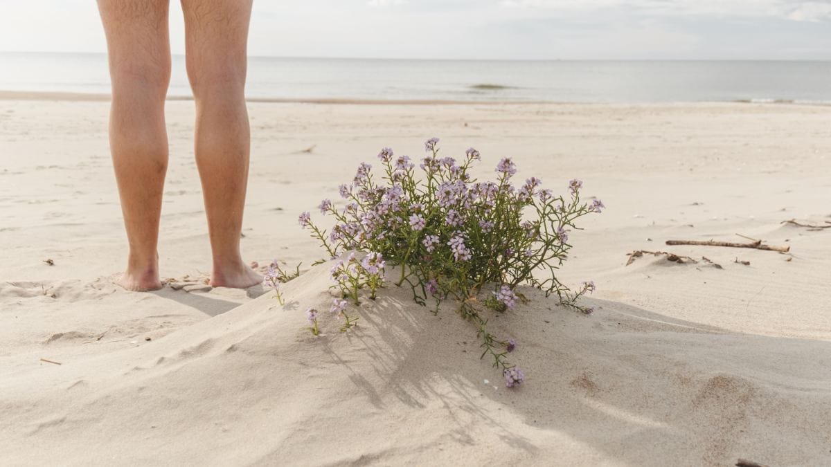 Praia de nudismo (Foto_ Olga Lioncat_Pexels)
