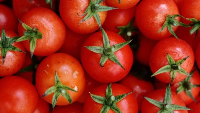 Tomates (Foto_ Christelle Wehbe_Pexels)