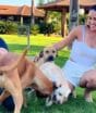 ‘Sou um protetor’: saiba como Zezé Di Camargo transformou a fazenda ‘É o Amor’ em refúgio para cães abandonados e cavalos salvos de abate