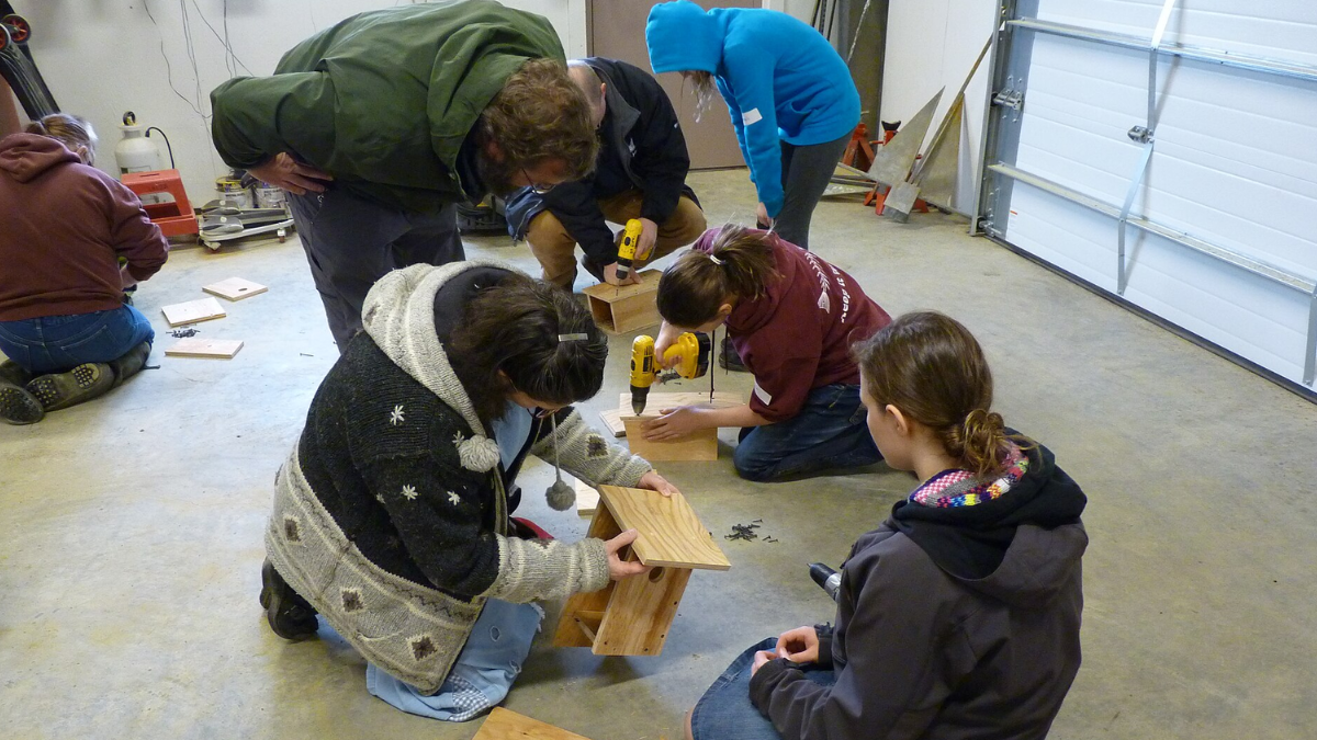 As oficinas transformaram o projeto individual em uma atividade comunitária, com famílias aprendendo a construir abrigos para espécies locais (Foto: USFWSAlaska / Wikimedia Commons / Imagem Ilustrativa)