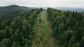 Faixa de servidão da Mountain Valley Pipeline cortando fazenda familiar em Bent Mountain, Virgínia