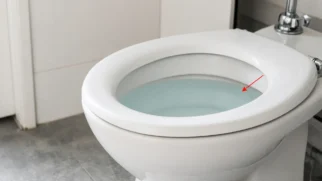Vaso sanitário de porcelana com linha d'água limpa após remoção de calcário