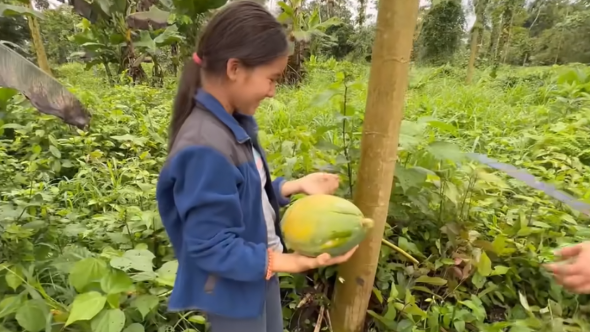 Uma das cinco filhas do casal ajudando na colheita (Foto: Reprodução / YouTube / Ecuador Y Sus Paisajes Oficial)