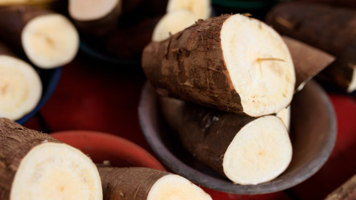 Yuca e ají são os termos em quíchua, língua indígena sul-americana, para mandioca e uma espécie local de pimenta, respectivamente (Foto: Matheus Bertelli / Pexels)
