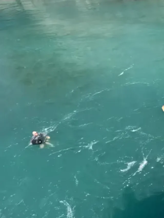 Na Suíça, trabalhadores usam o rio Aare para voltar do trabalho e transformar o trajeto em lazer refrescante no verão