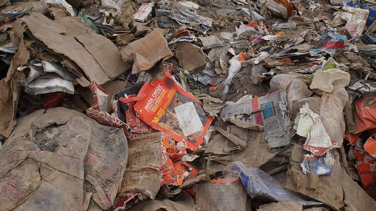 Imagens da escavação (Foto: Taylor Hatmaker / Wikimedia Commons)
