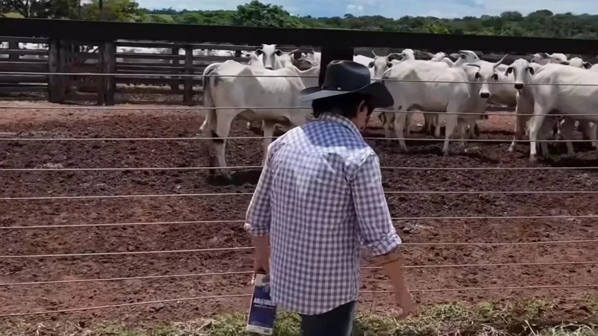 Fazenda de Chitãozinho