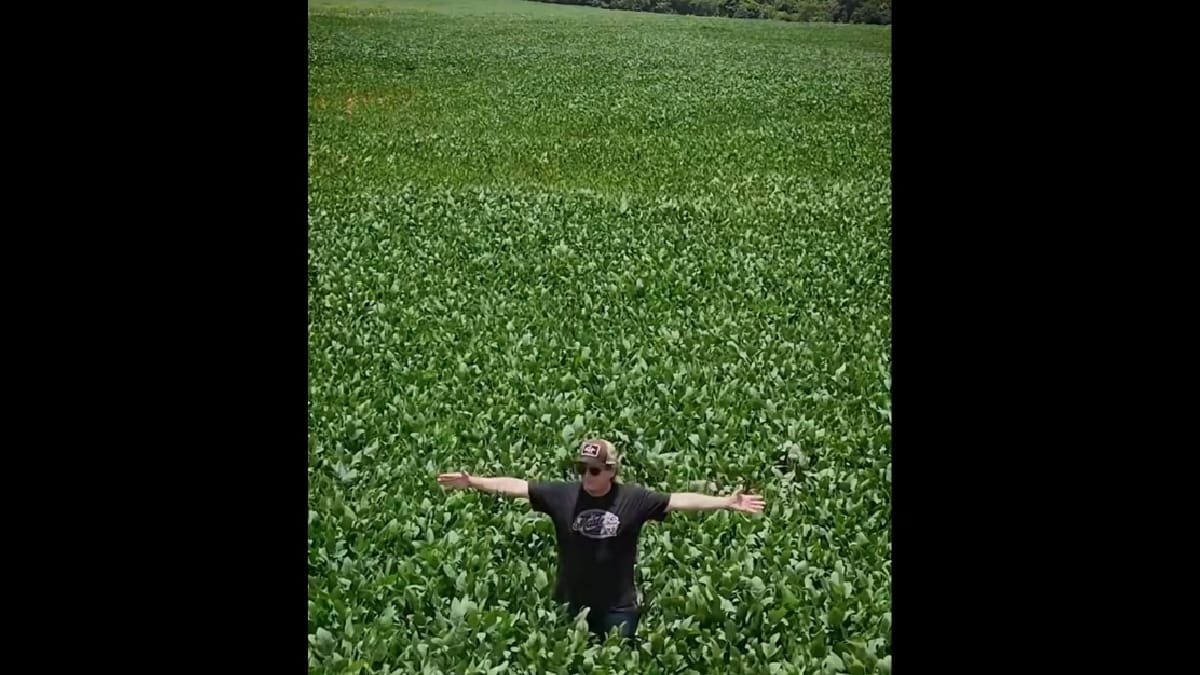 Fazenda de Chitãozinho