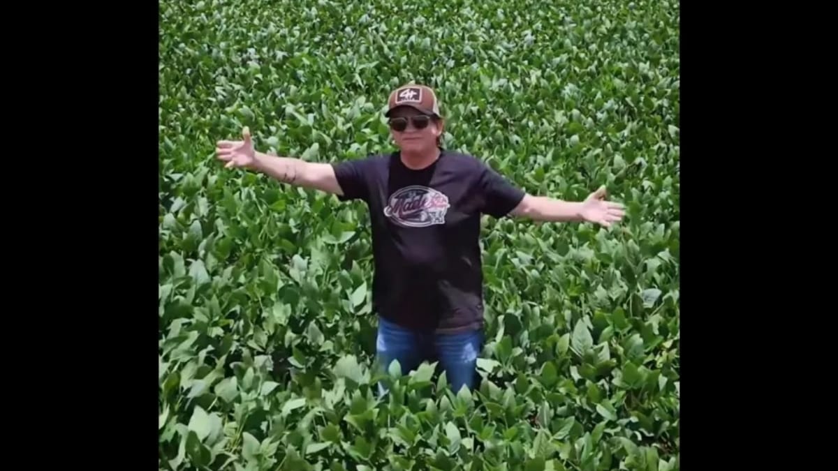 Fazenda de Chitãozinho