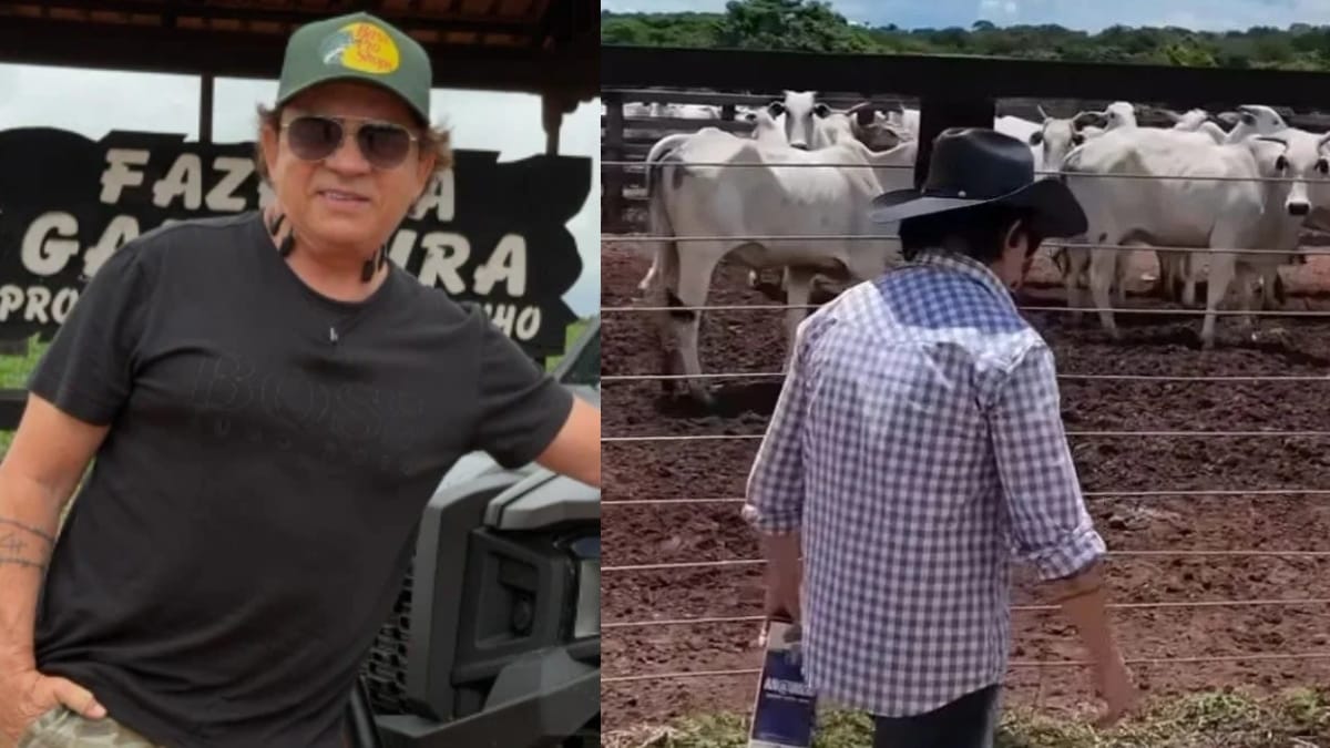 Fazenda de Chitãozinho