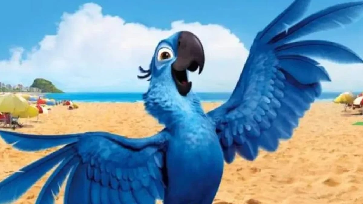Filme Rio