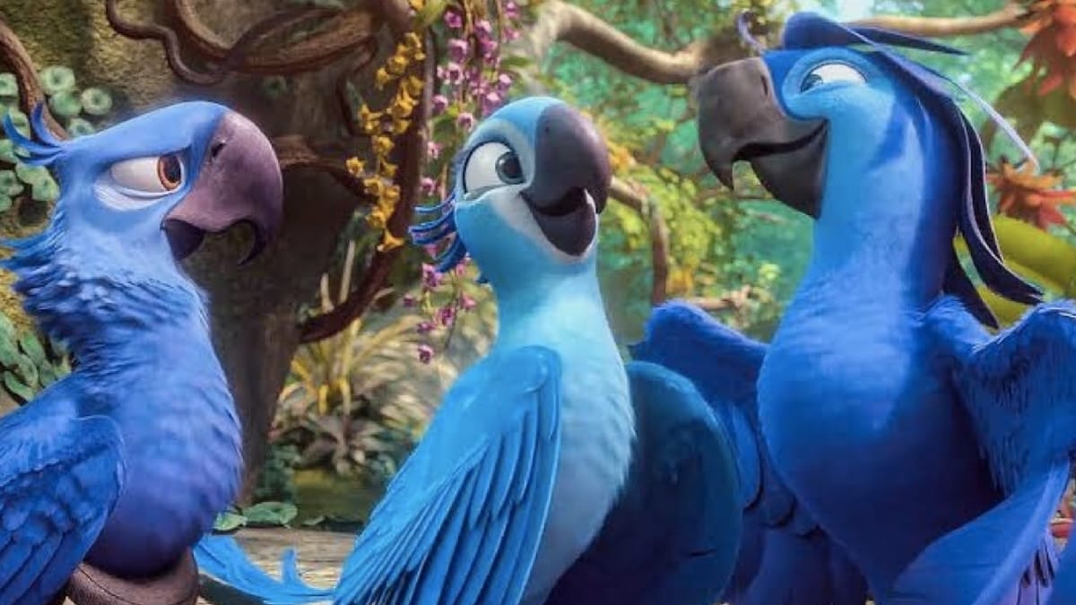 Filme Rio