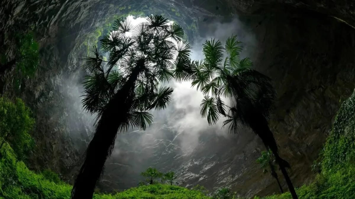 Floresta subterrânea China/Song Wen Xinrua/Reprodução
