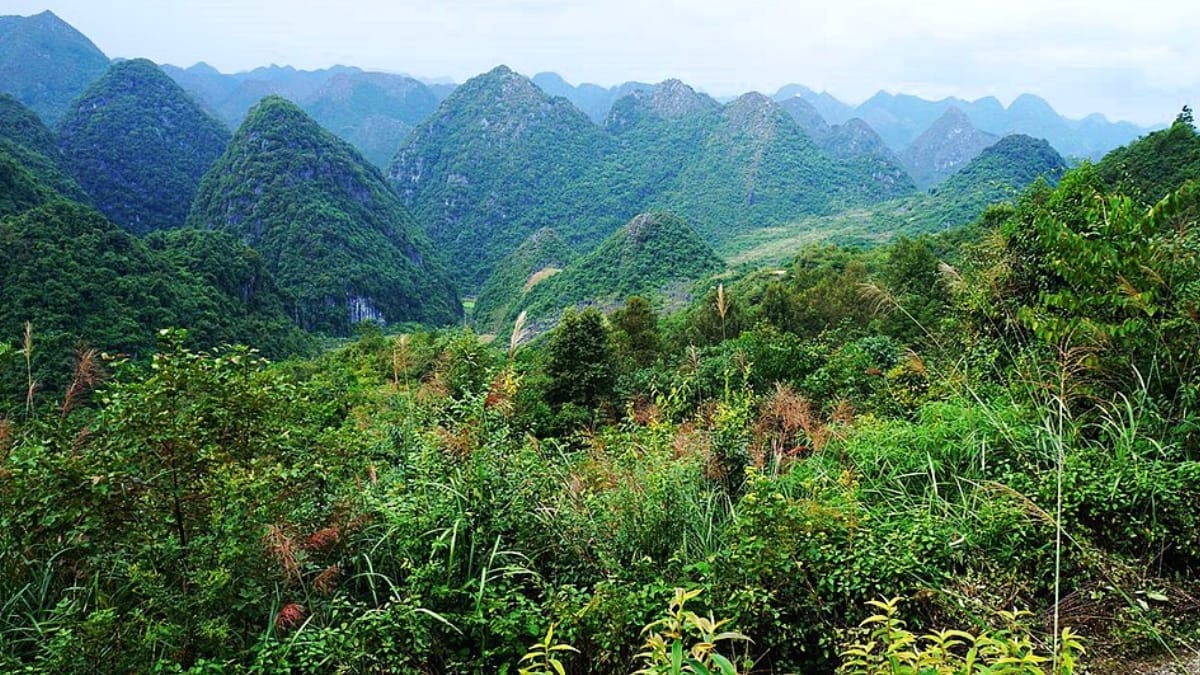 Guangxi/Qiu Mao/Wikimedia Commons