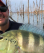Aos 33 anos, brasileiro se torna recordista ao fisgar tucunaré de 68 cm: o que parece conto de pescador é verdade; conheça a história