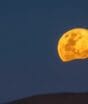 Lua do Caçador: no Hemisfério Norte, lua cheia de outubro é a primeira pós-colheita e simboliza o início do período de caça