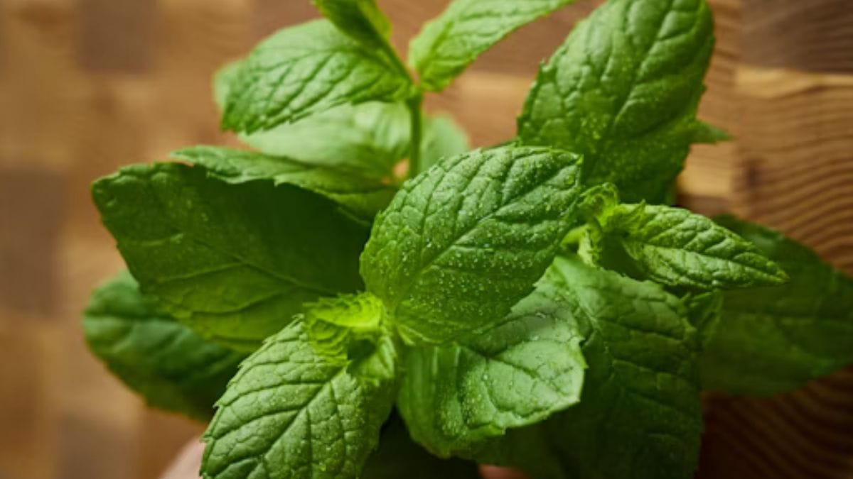 aromatizante