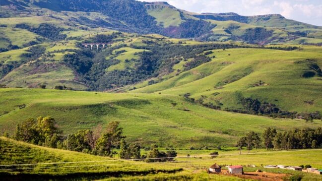 África do Sul (Foto_ Angel Cristi_Pexels)