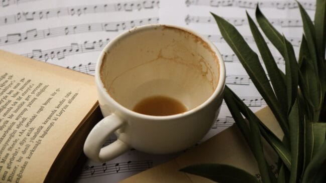 Borra de café futuro (Foto_ Feyza Daştan_Pexels)