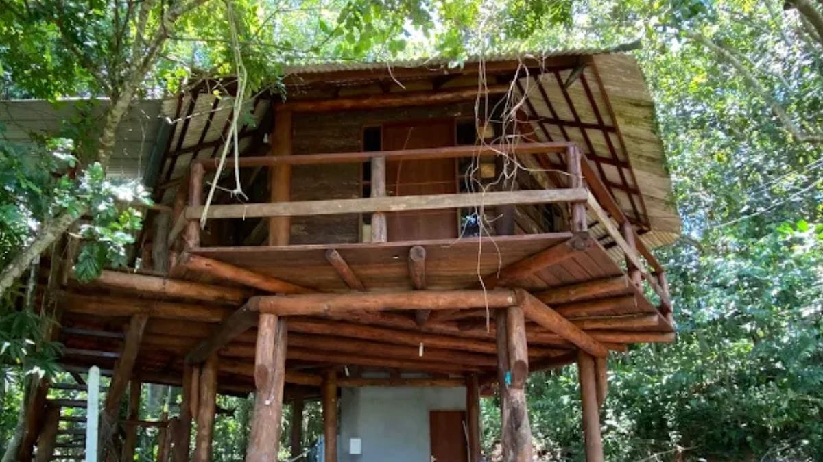 casa na árvore