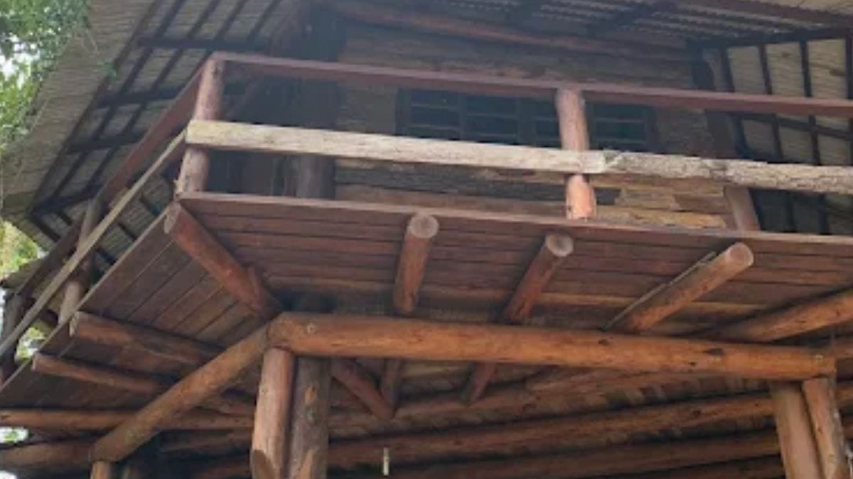 casa na árvore
