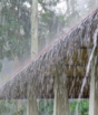Chuva de até 200 mm ameaça estados brasileiros durante o feriado de Finados; veja onde pode chover mais