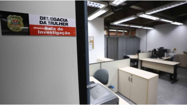 delegacia da mulher 24 horas em são paulo