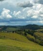 Cunha, a ‘Capital do Fusca’, reúne lavandas, cerâmicas e olivais em roteiro de 3 dias a 230 km de SP, com paisagens de serra e gastronomia regional