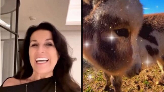 O contato com cavalos durante a infância ajudou Sandrine a desenvolver interesse pelo comportamento dos animais.