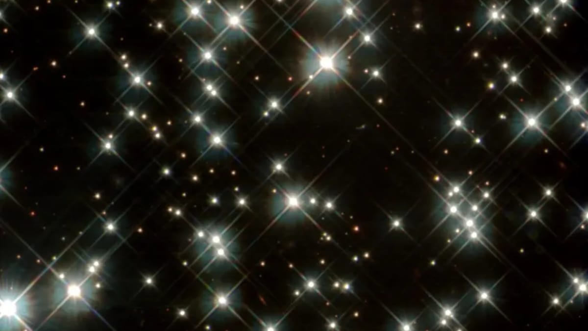 Estrela