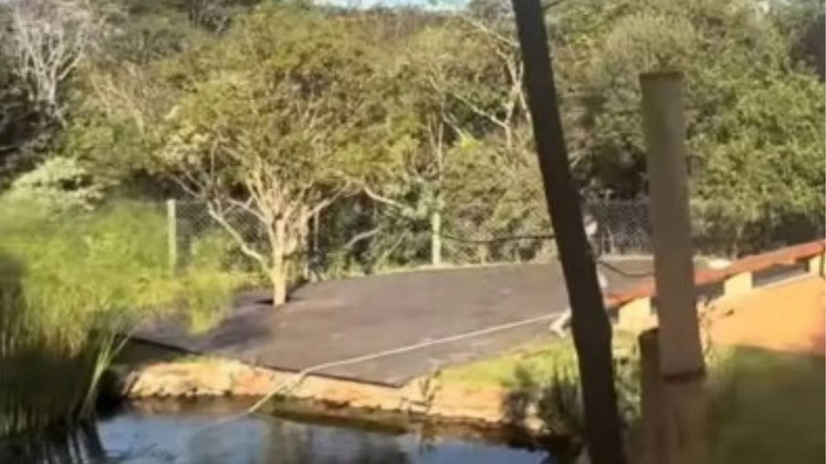 Fazenda filha de Ana Maria Braga