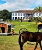 Fazendas de café que enriqueceram o interior de SP viraram hotéis e preservam casarões históricos, jardins famosos e histórias de quase 250 anos