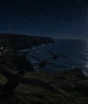 Ilha de Portugal apaga as luzes por 5 noites para salvar filhotes de aves que se perdem a caminho do mar; entenda por que a escuridão ajuda tanto