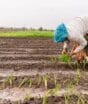 Novo projeto prevê prioridade para mulheres vítimas de violência na distribuição de terras da reforma agrária