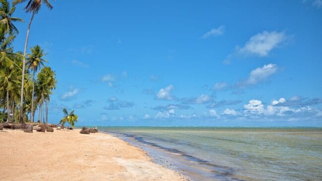 Praias de Lages, Porto de Pedras, Alagoas/Otavio Nogueira/Wikimedia Commons