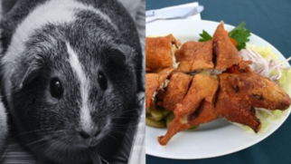 Prato feito com porquinho-da-índia é frito até ficar crocante e costuma ser servido com batatas, milho e pimenta (Foto: Carlosar / Gad Parroquial / Wikimedia Commons)