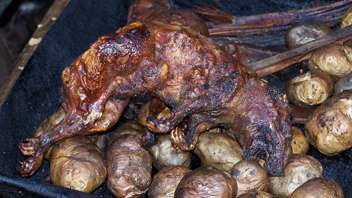 Durante a fritura, o cuy é mantido achatado e virado até adquirir a coloração dourada e a textura crocante típica do prato (Foto: Brian Watson / Wikimedia Commons)