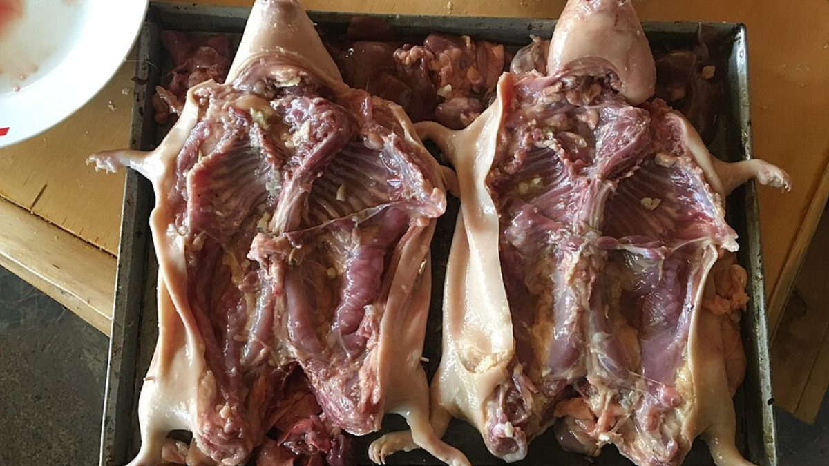 O cuy é aberto e recebe o tempero por dentro e por fora antes de descansar para absorver os sabores (Foto: Carlo Brescia / Wikimedia Commons)