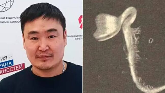 O acidente aconteceu durante uma viagem ao distrito de Abyysky, onde Maxim participava de uma pescaria e colhia frutas silvestres.