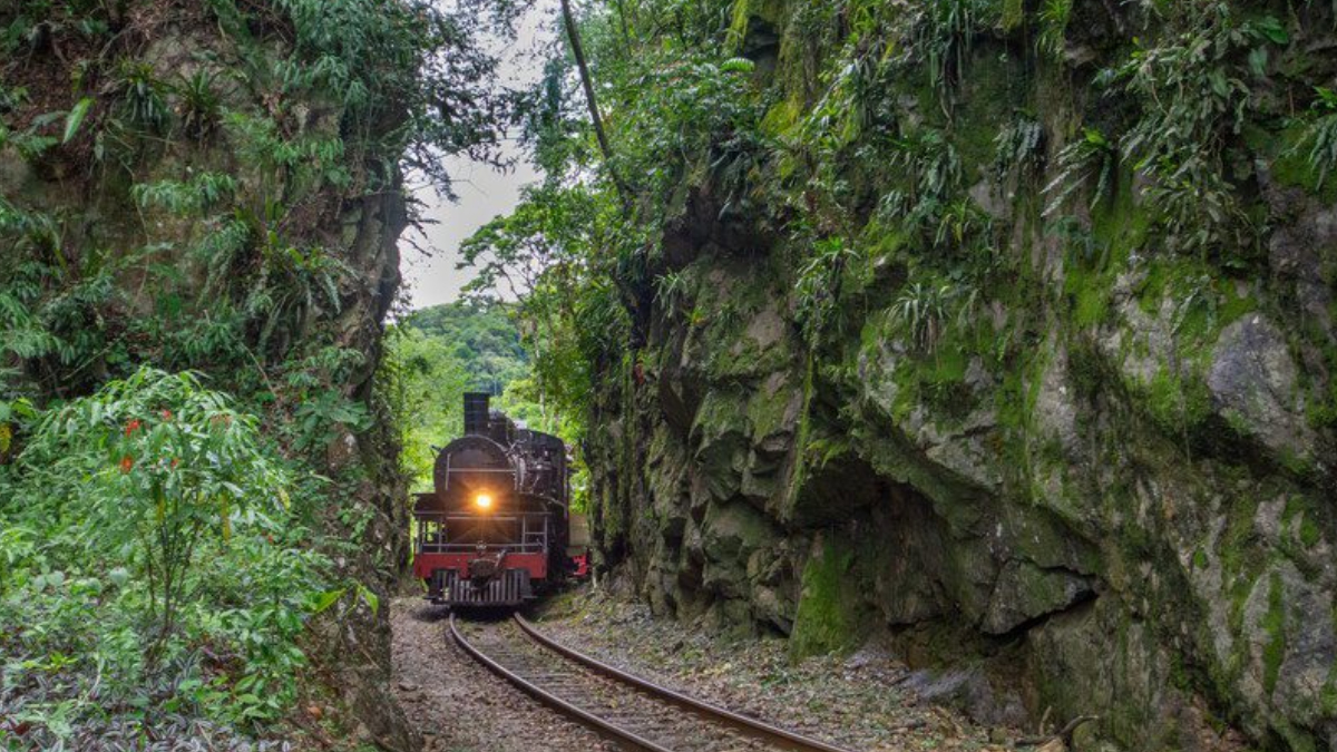 Trem da Serra do Mar
