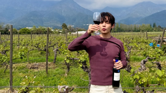 Fotos de V e um comentário de J-Hope sobre o vinho chileno colocaram uma vinícola boutique de Santiago no radar dos fãs (Foto: Reprodução / Instagram)