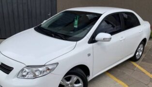 São 50 lotes para circulação e outros oito para sucatas