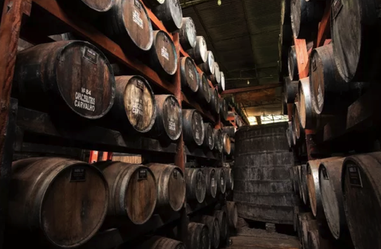 Melhor cachaça do mundo é produzida em SP