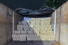 Polícia apreende drogas em Embu das Artes